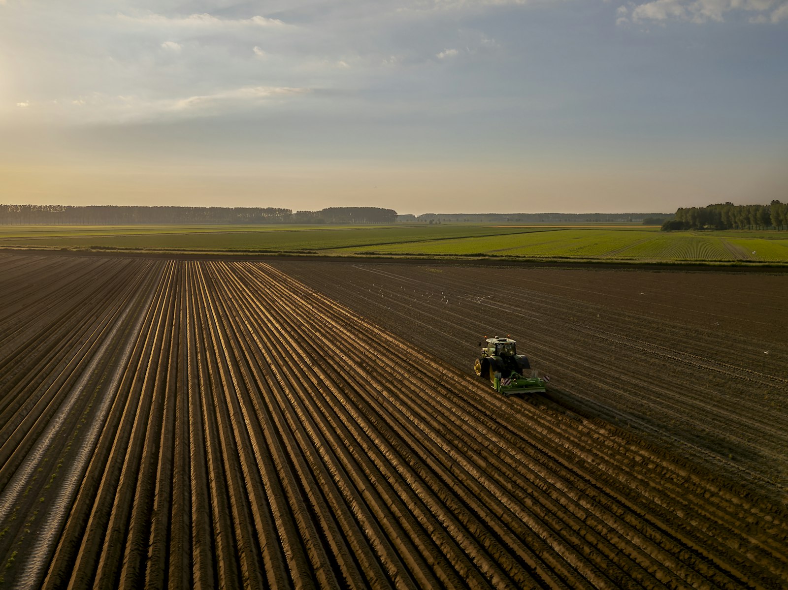 Traktor bei der Feldarbeit in der Abenddämmerung