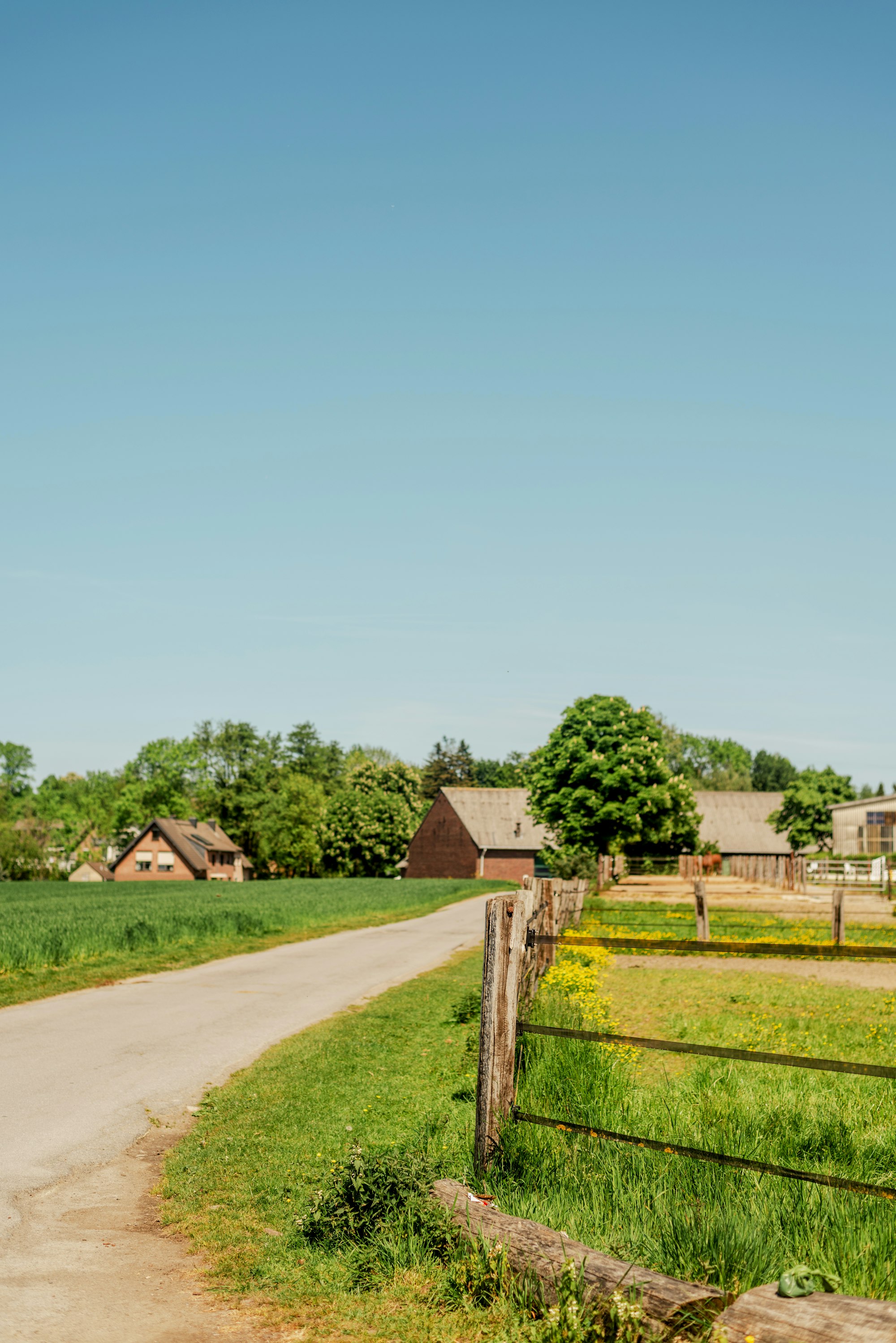 Ländlicher Weg mit Zaun und Hofgebäude im Hintergrund